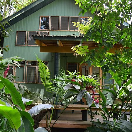 Rainforest Eco Lodge Сува Екстер'єр фото