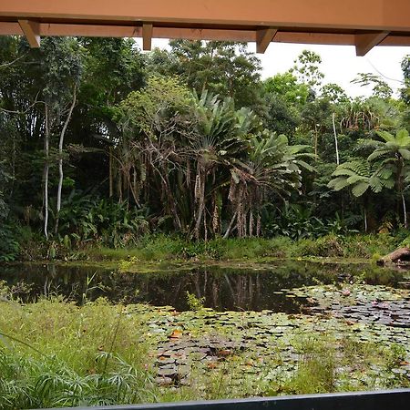 Rainforest Eco Lodge Сува Екстер'єр фото