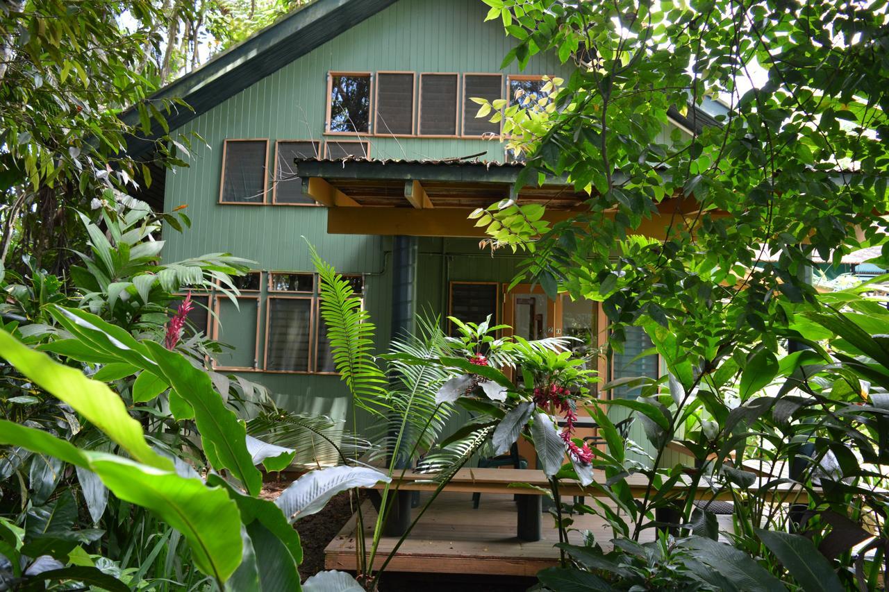 Rainforest Eco Lodge Сува Екстер'єр фото