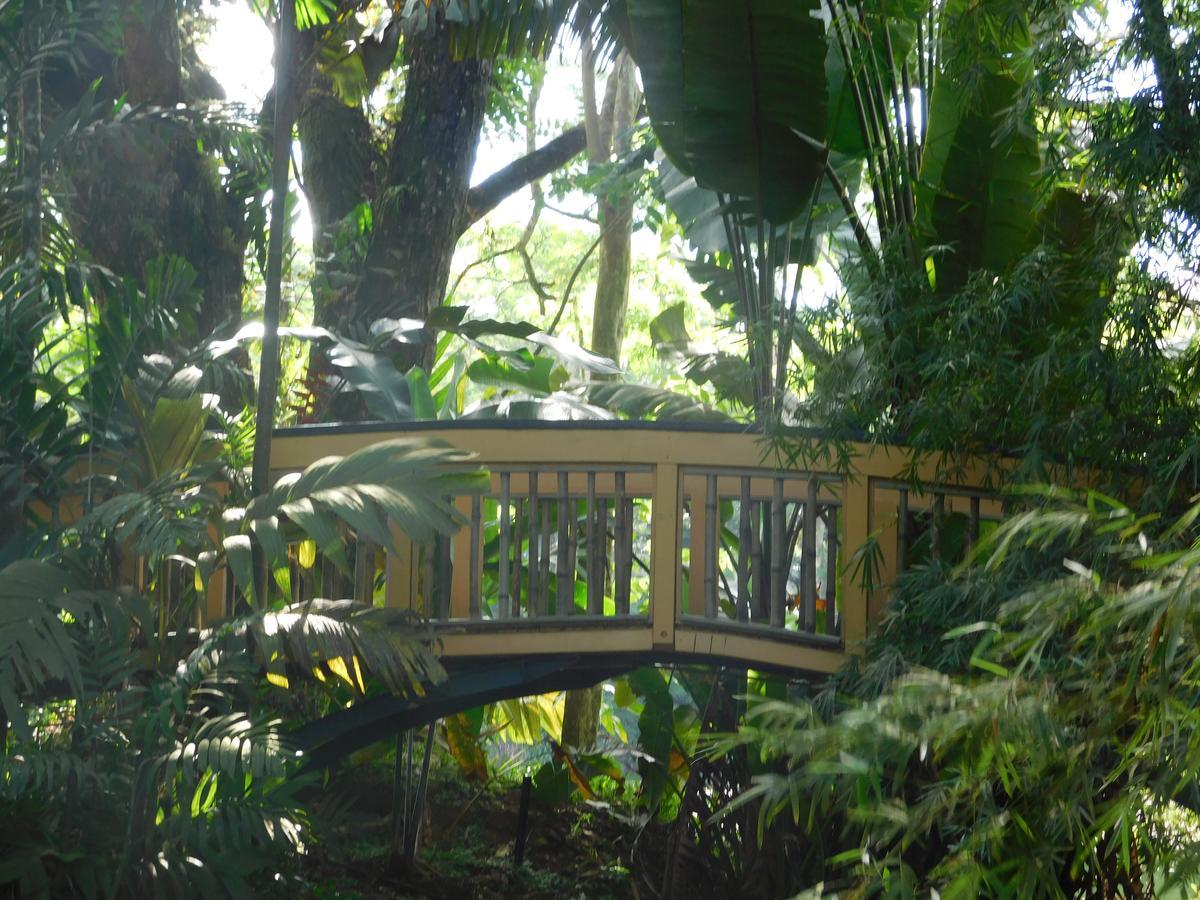 Rainforest Eco Lodge Сува Екстер'єр фото