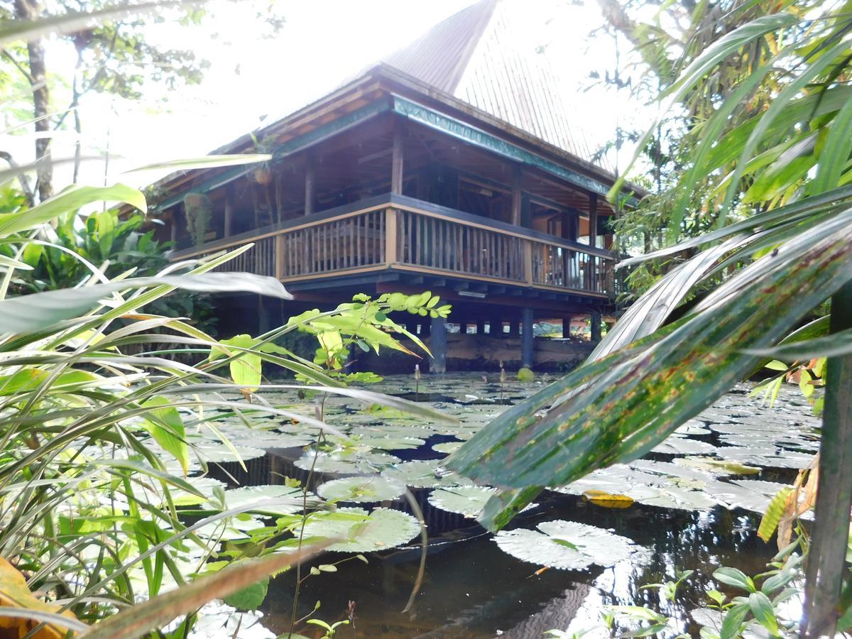 Rainforest Eco Lodge Сува Екстер'єр фото