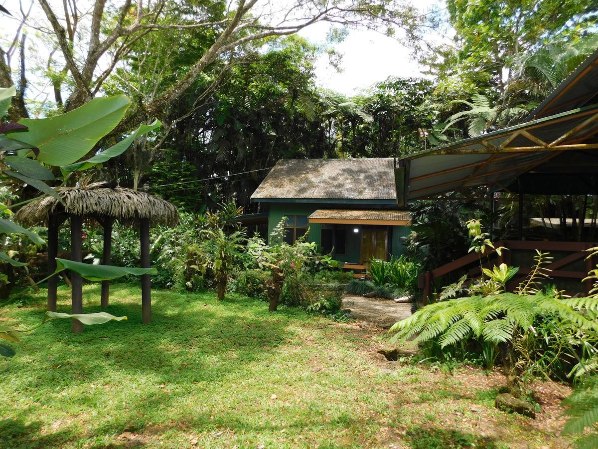 Rainforest Eco Lodge Сува Екстер'єр фото