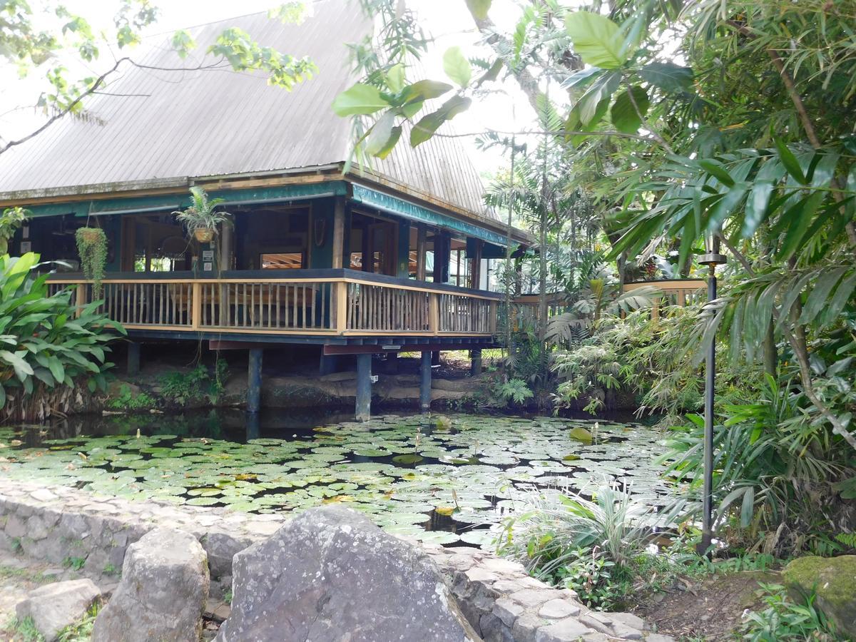 Rainforest Eco Lodge Сува Екстер'єр фото