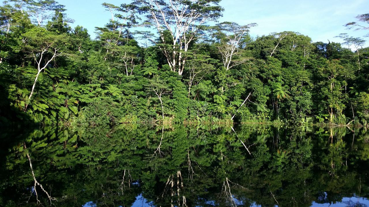 Rainforest Eco Lodge Сува Екстер'єр фото