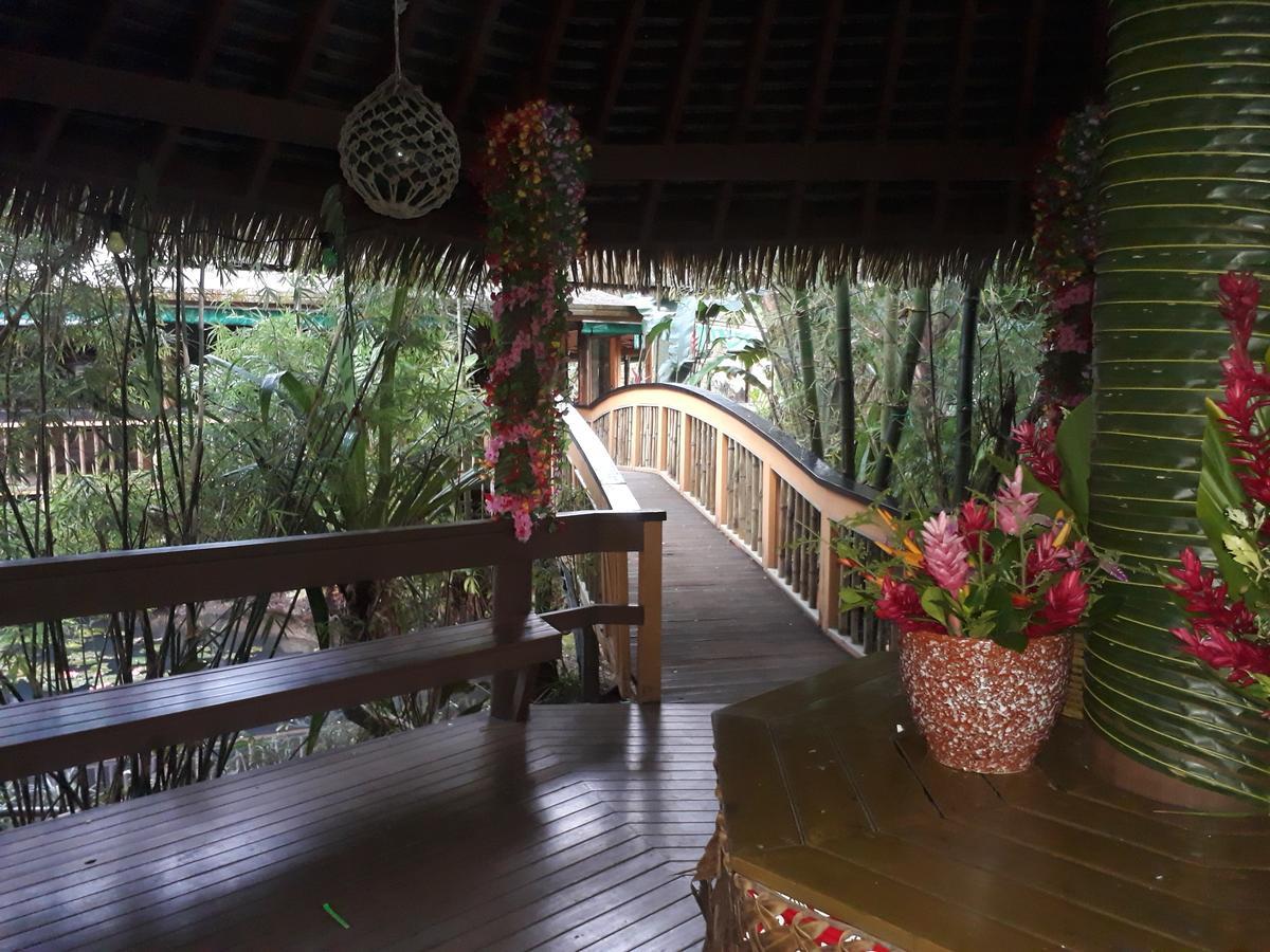 Rainforest Eco Lodge Сува Екстер'єр фото