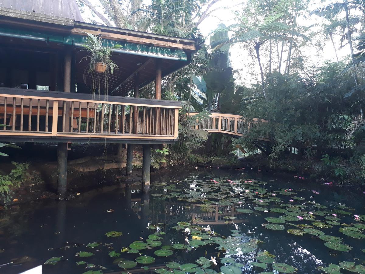 Rainforest Eco Lodge Сува Екстер'єр фото